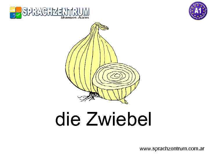 die Zwiebel www. sprachzentrum. com. ar 