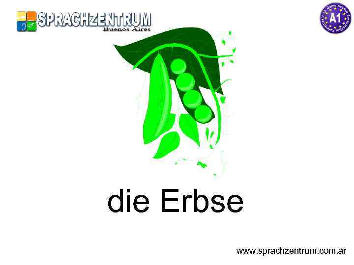 die Erbse www. sprachzentrum. com. ar 