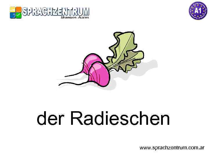 der Radieschen www. sprachzentrum. com. ar 