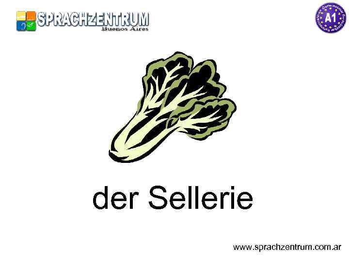 der Sellerie www. sprachzentrum. com. ar 