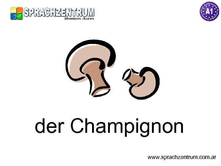 der Champignon www. sprachzentrum. com. ar 