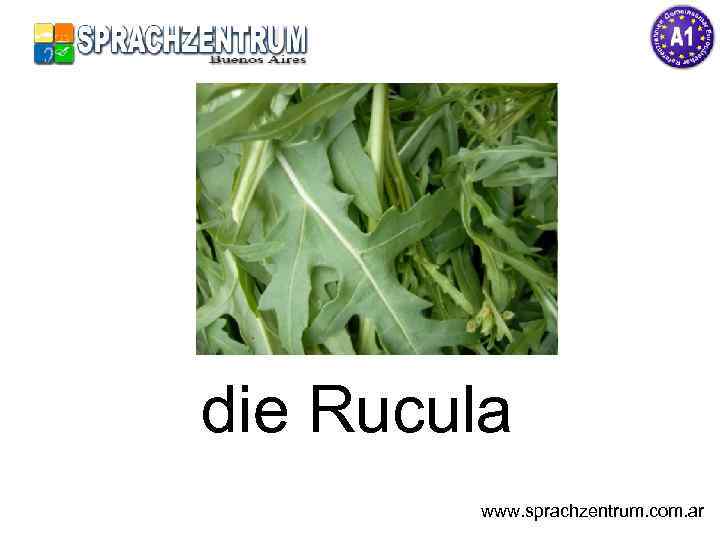 die Rucula www. sprachzentrum. com. ar 