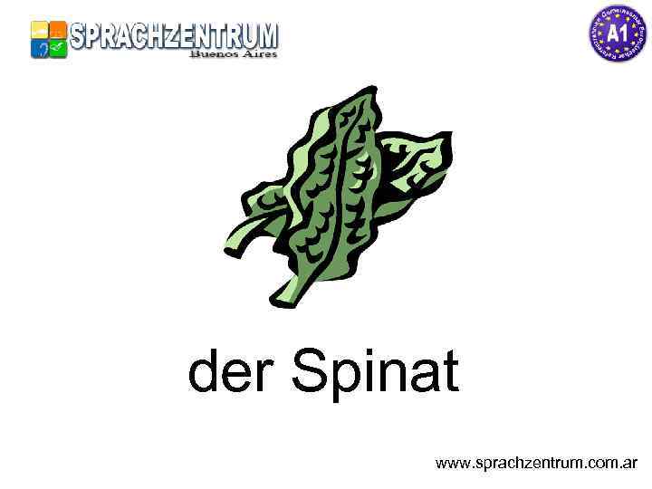 der Spinat www. sprachzentrum. com. ar 