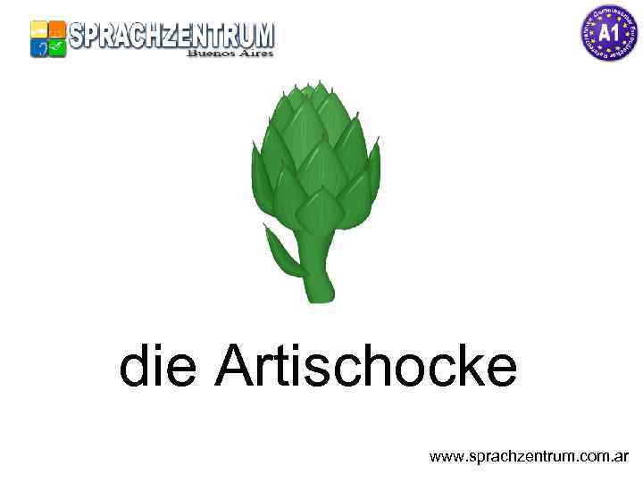 die Artischocke www. sprachzentrum. com. ar 