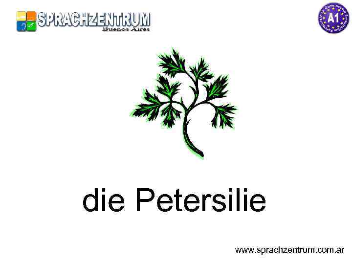 die Petersilie www. sprachzentrum. com. ar 