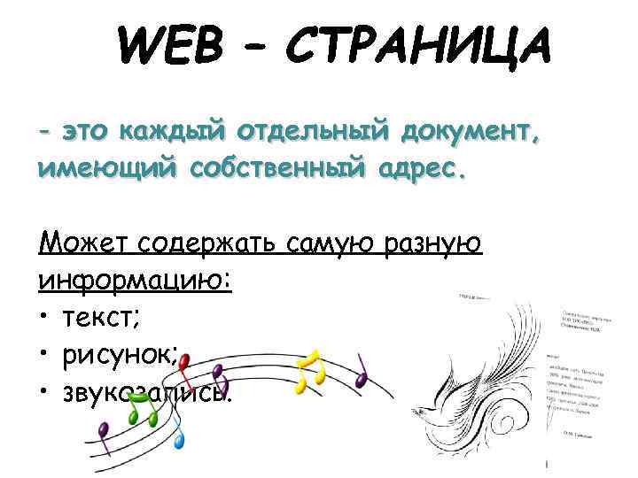 - это каждый отдельный документ, имеющий собственный адрес. Может содержать самую разную информацию: •