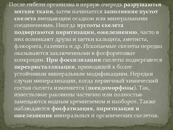 После гибели организма в первую очередь разрушаются мягкие ткани, затем начинается заполнение пустот скелета