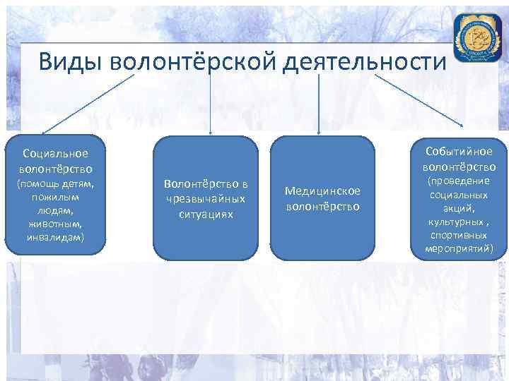 Виды волонтёрской деятельности Социальное волонтёрство (помощь детям, пожилым людям, животным, инвалидам) Событийное волонтёрство Волонтёрство