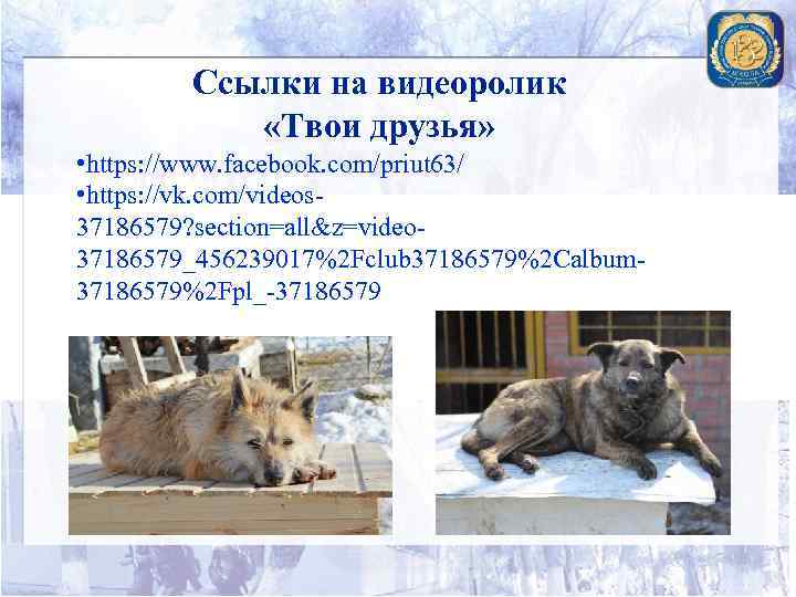 Ссылки на видеоролик «Твои друзья» • https: //www. facebook. com/priut 63/ • https: //vk.