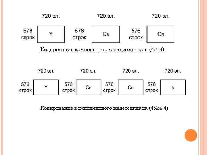 Кодирование компонентного видеосигнала (4: 4: 4) Кодирование компонентного видеосигнала (4: 4: 4: 4) 