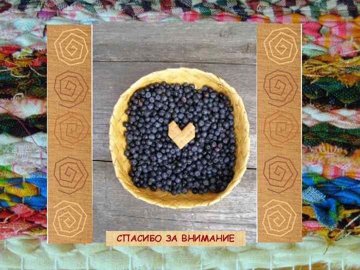 СПАСИБО ЗА ВНИМАНИЕ 