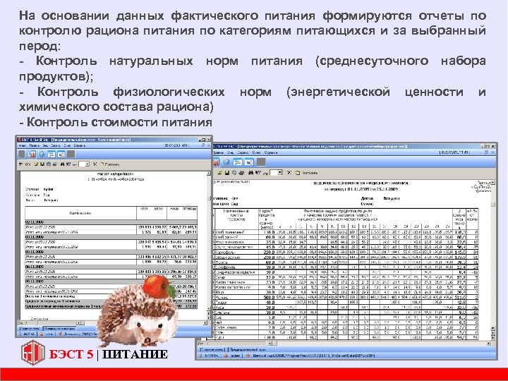 Ведомость контроля за питанием в школе образец заполнения