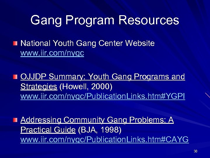 Gang Program Resources National Youth Gang Center Website www. iir. com/nygc OJJDP Summary: Youth