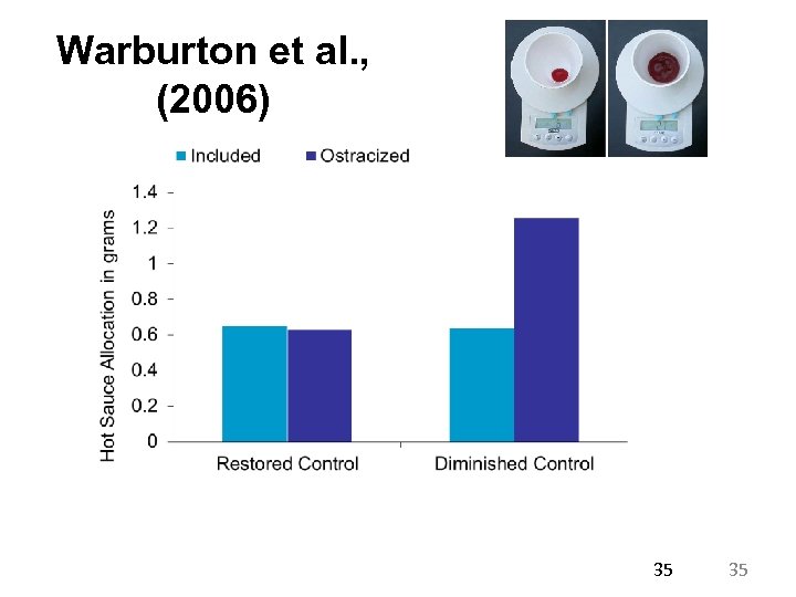 Warburton et al. , (2006) 35 35 