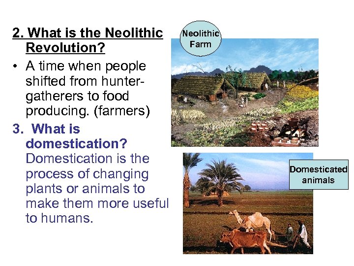 2. What is the Neolithic Revolution? • A time when people shifted from huntergatherers