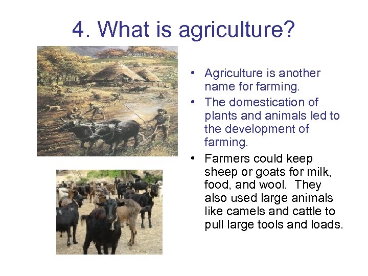 4. What is agriculture? • Agriculture is another name for farming. • The domestication