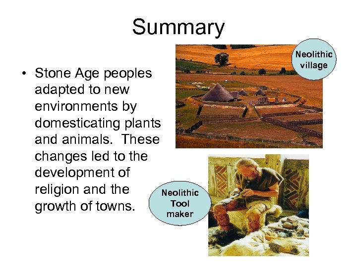 Summary • Stone Age peoples adapted to new environments by domesticating plants and animals.