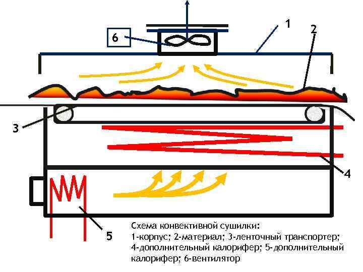 1 6 2 3 4 5 Схема конвективной сушилки: 1 -корпус; 2 -материал; 3