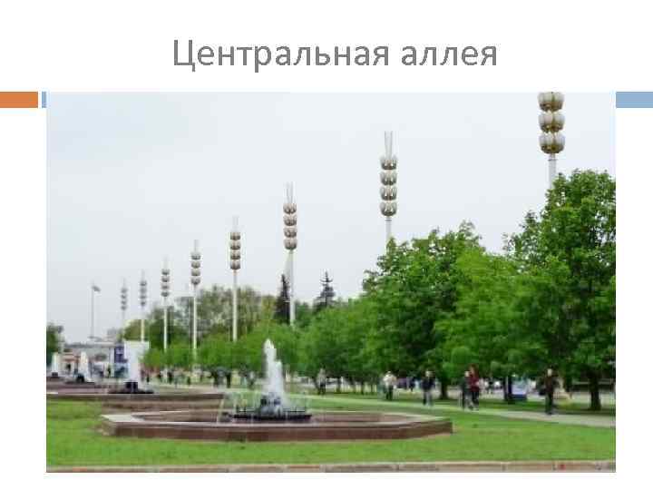Центральная аллея 