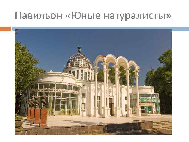 Павильон «Юные натуралисты» 