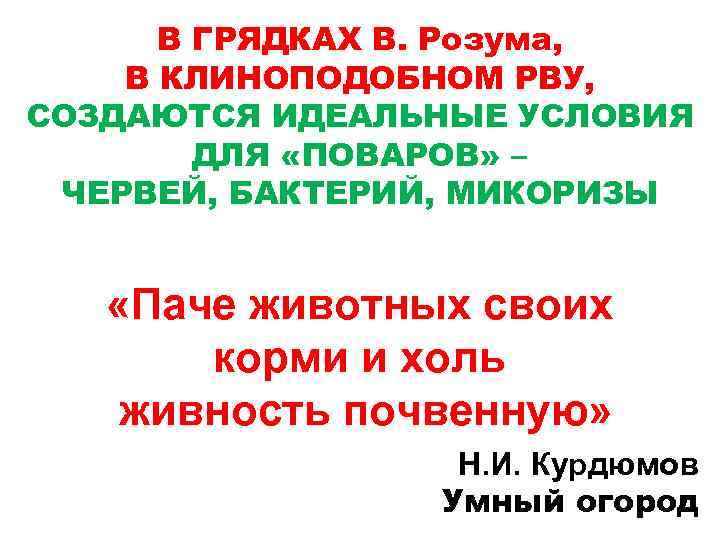 В ГРЯДКАХ В. Розума, В КЛИНОПОДОБНОМ РВУ, СОЗДАЮТСЯ ИДЕАЛЬНЫЕ УСЛОВИЯ ДЛЯ «ПОВАРОВ» – ЧЕРВЕЙ,