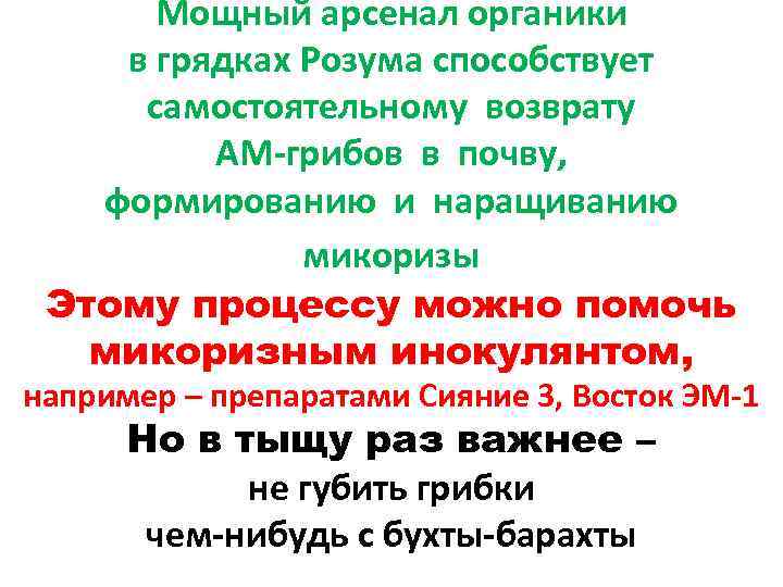 Мощный арсенал органики в грядках Розума способствует самостоятельному возврату АМ-грибов в почву, формированию и