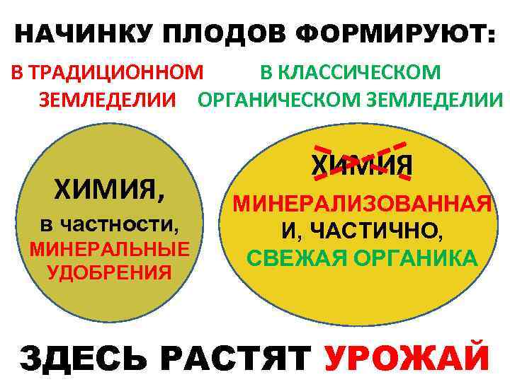 НАЧИНКУ ПЛОДОВ ФОРМИРУЮТ: В ТРАДИЦИОННОМ В КЛАССИЧЕСКОМ ЗЕМЛЕДЕЛИИ ОРГАНИЧЕСКОМ ЗЕМЛЕДЕЛИИ ХИМИЯ, в частности, МИНЕРАЛЬНЫЕ