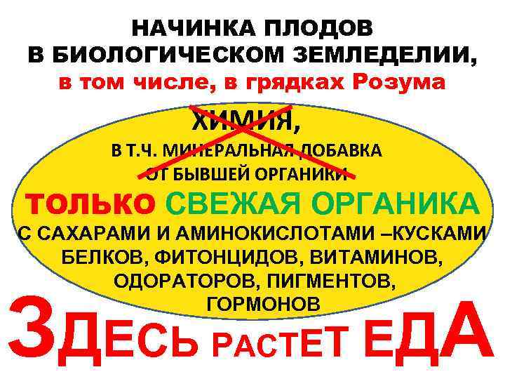НАЧИНКА ПЛОДОВ В БИОЛОГИЧЕСКОМ ЗЕМЛЕДЕЛИИ, в том числе, в грядках Розума ХИМИЯ, В Т.