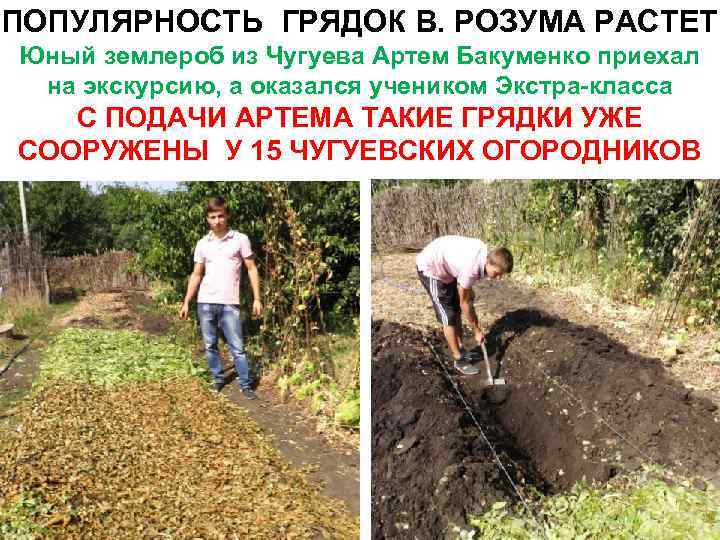 ПОПУЛЯРНОСТЬ ГРЯДОК В. РОЗУМА РАСТЕТ Юный землероб из Чугуева Артем Бакуменко приехал на экскурсию,