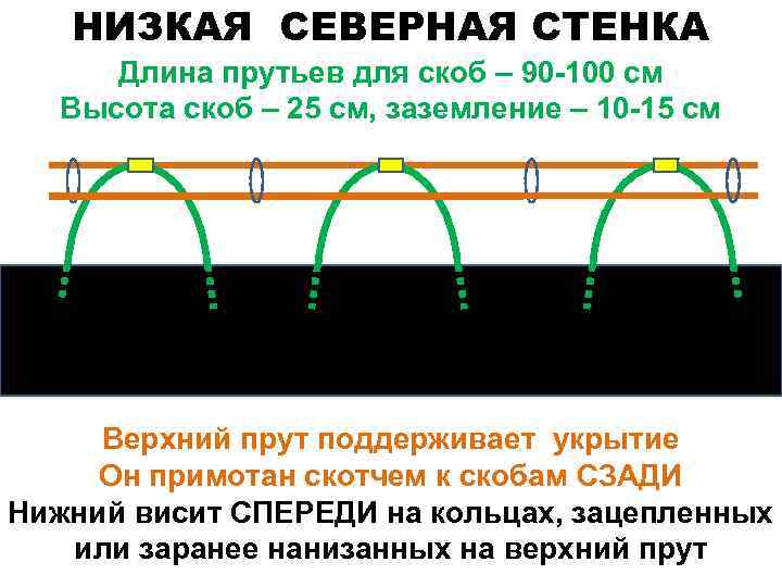 НИЗКАЯ СЕВЕРНАЯ СТЕНКА Длина прутьев для скоб – 90 -100 см Высота скоб –