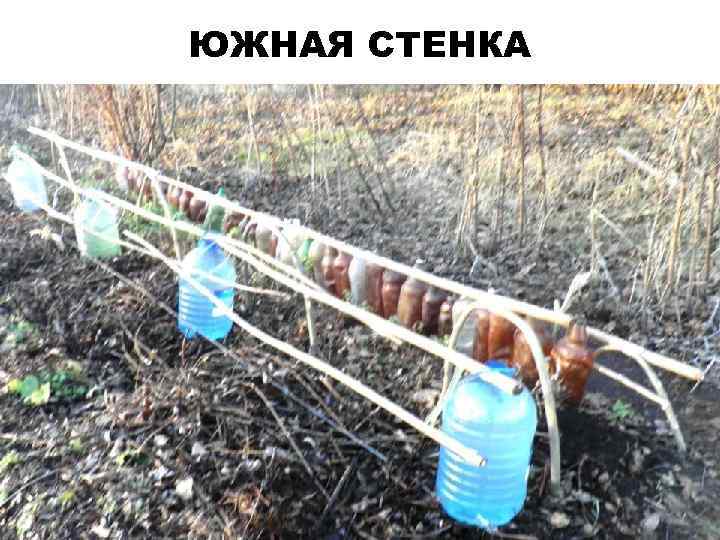 ЮЖНАЯ СТЕНКА 