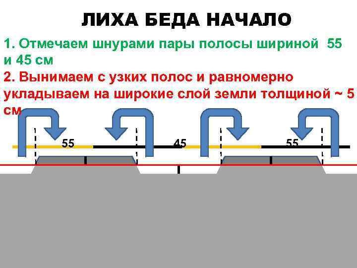 ЛИХА БЕДА НАЧАЛО 1. Отмечаем шнурами пары полосы шириной 55 и 45 см 2.