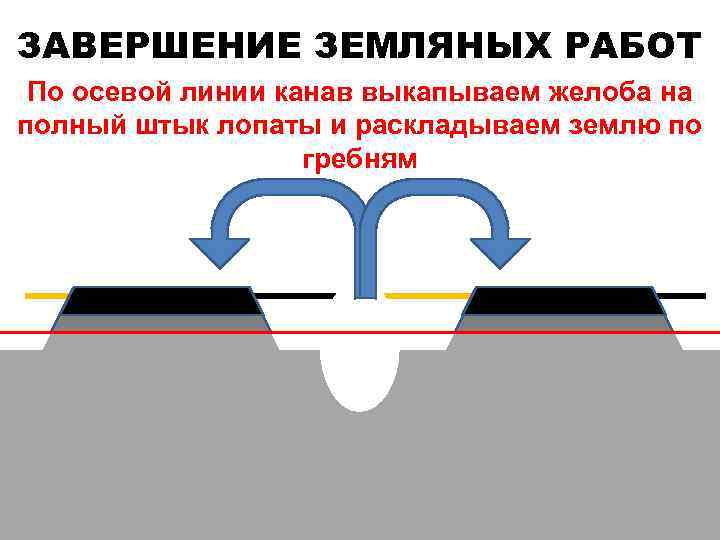 ЗАВЕРШЕНИЕ ЗЕМЛЯНЫХ РАБОТ По осевой линии канав выкапываем желоба на полный штык лопаты и