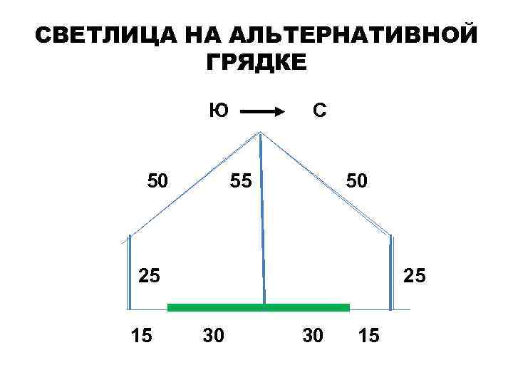СВЕТЛИЦА НА АЛЬТЕРНАТИВНОЙ ГРЯДКЕ Ю С 50 55 50 25 15 30 15 