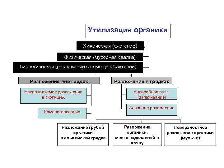 Утилизация органики Химическая (сжигание) Физическая (мусорная свалка) Биологическая (разложение с помощью бактерий) Разложение вне