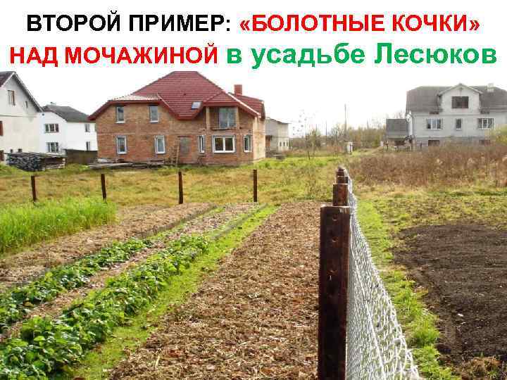 ВТОРОЙ ПРИМЕР: «БОЛОТНЫЕ КОЧКИ» НАД МОЧАЖИНОЙ в усадьбе Лесюков 