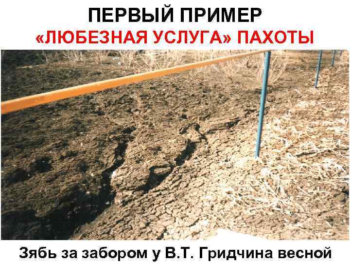 ПЕРВЫЙ ПРИМЕР «ЛЮБЕЗНАЯ УСЛУГА» ПАХОТЫ Зябь за забором у В. Т. Гридчина весной 