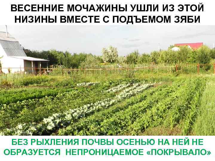 ВЕСЕННИЕ МОЧАЖИНЫ УШЛИ ИЗ ЭТОЙ НИЗИНЫ ВМЕСТЕ С ПОДЪЕМОМ ЗЯБИ БЕЗ РЫХЛЕНИЯ ПОЧВЫ ОСЕНЬЮ
