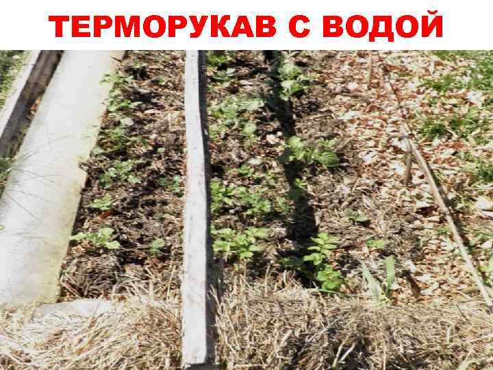 ТЕРМОРУКАВ С ВОДОЙ 