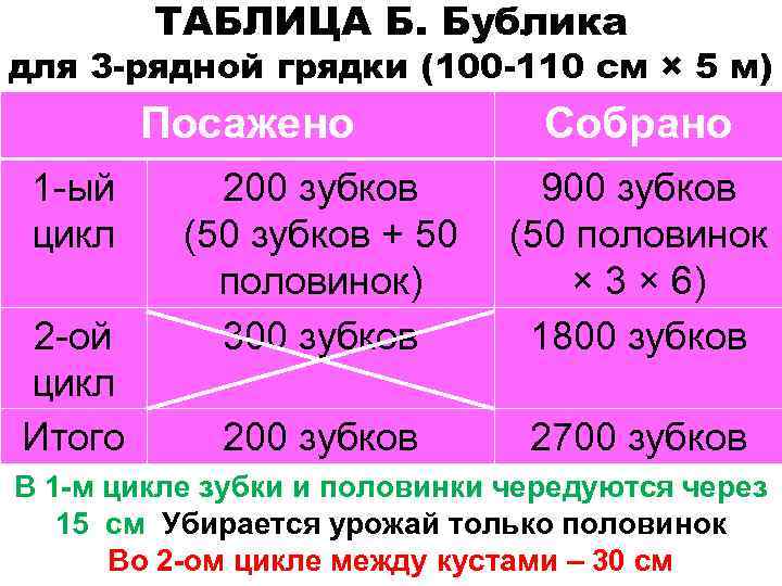 ТАБЛИЦА Б. Бублика для 3 -рядной грядки (100 -110 см × 5 м) Посажено