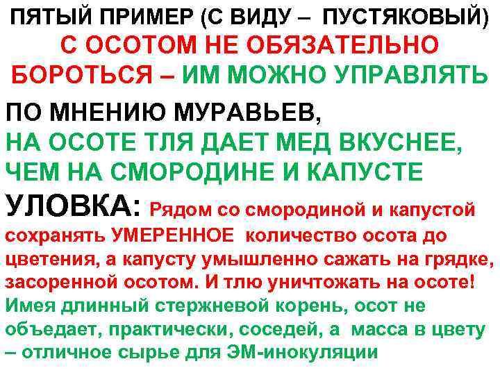 ПЯТЫЙ ПРИМЕР (С ВИДУ – ПУСТЯКОВЫЙ) С ОСОТОМ НЕ ОБЯЗАТЕЛЬНО БОРОТЬСЯ – ИМ МОЖНО