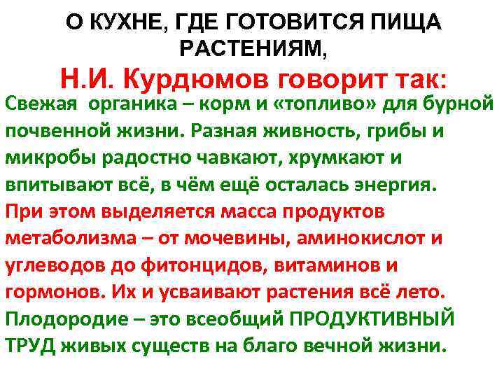 О КУХНЕ, ГДЕ ГОТОВИТСЯ ПИЩА РАСТЕНИЯМ, Н. И. Курдюмов говорит так: Свежая органика –