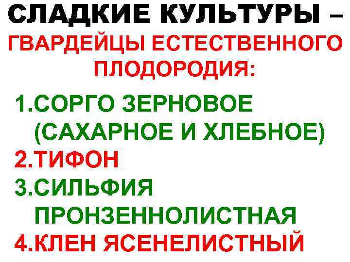 СЛАДКИЕ КУЛЬТУРЫ – ГВАРДЕЙЦЫ ЕСТЕСТВЕННОГО ПЛОДОРОДИЯ: 1. СОРГО ЗЕРНОВОЕ (САХАРНОЕ И ХЛЕБНОЕ) 2. ТИФОН