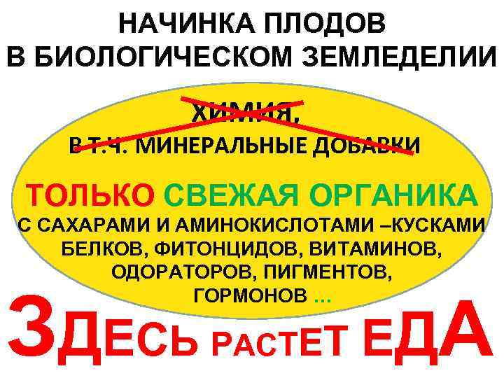 НАЧИНКА ПЛОДОВ В БИОЛОГИЧЕСКОМ ЗЕМЛЕДЕЛИИ ХИМИЯ, В Т. Ч. МИНЕРАЛЬНЫЕ ДОБАВКИ ТОЛЬКО СВЕЖАЯ ОРГАНИКА