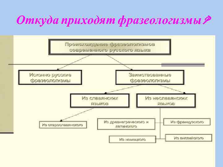 Откуда приходят фразеологизмы? 
