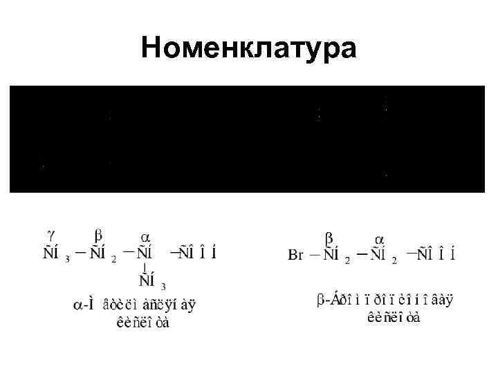 Номенклатура 