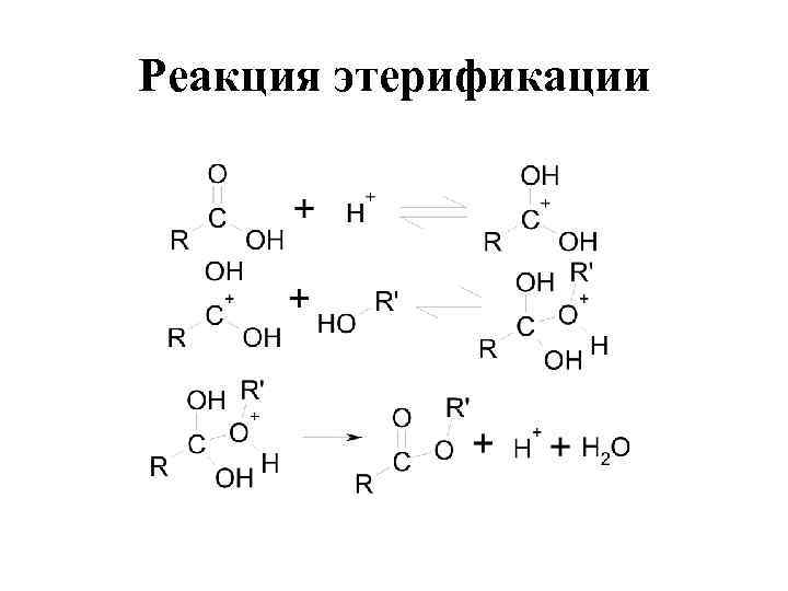 Реакция этерификации 