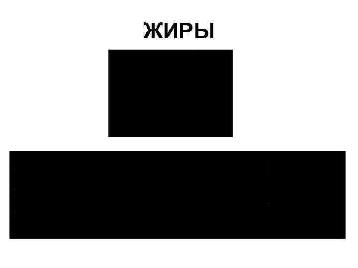 ЖИРЫ 