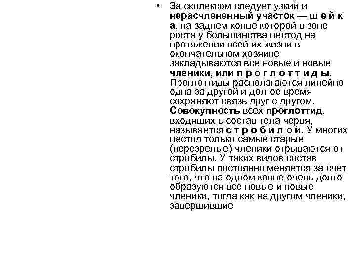  • За сколексом следует узкий и нерасчлененный участок — ш е й к