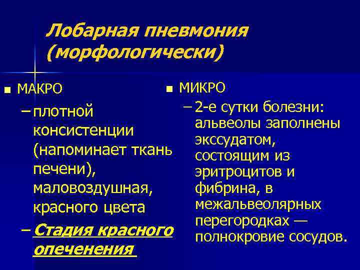 Лобарная пневмония (морфологически) n МАКРО n МИКРО – 2 е сутки болезни: – плотной